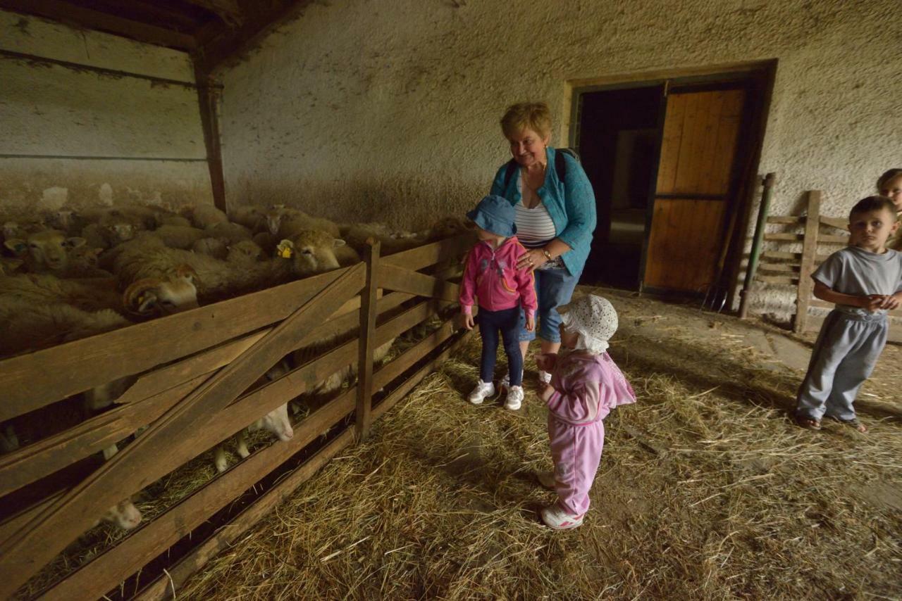 Bio Farma & Penzion Zlaty Hyl Novacany Esterno foto