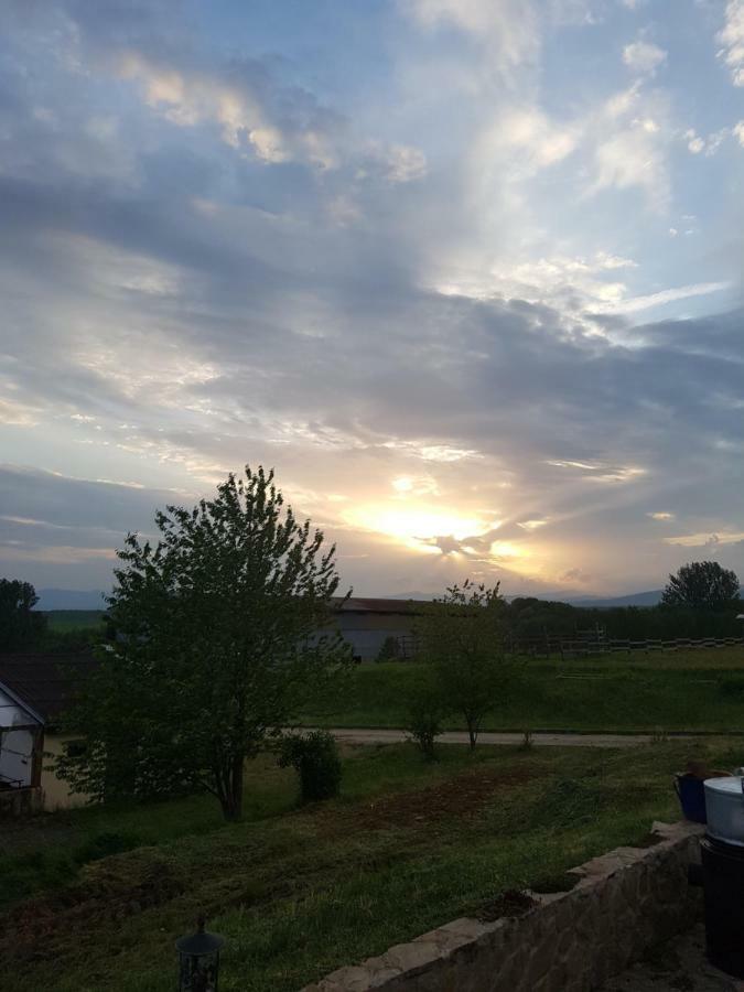 Bio Farma & Penzion Zlaty Hyl Novacany Esterno foto