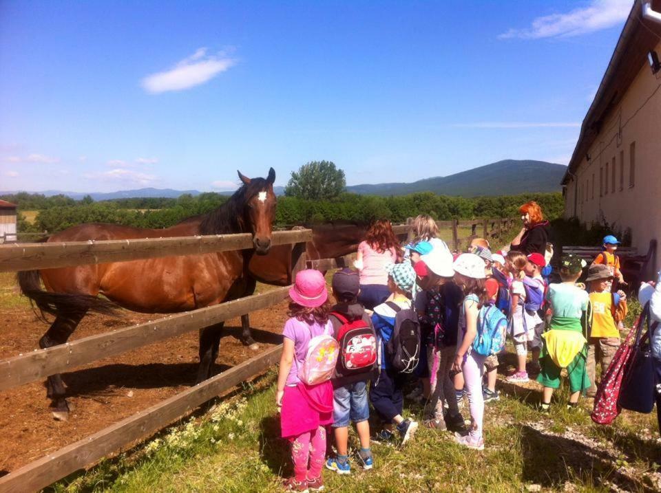 Bio Farma & Penzion Zlaty Hyl Novacany Esterno foto
