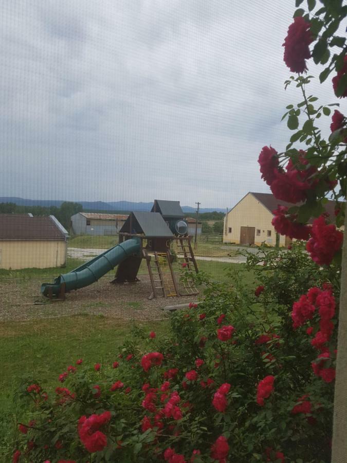 Bio Farma & Penzion Zlaty Hyl Novacany Esterno foto
